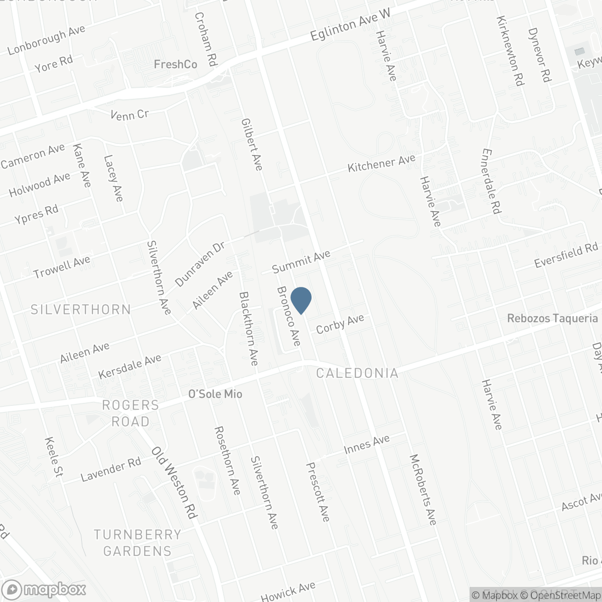 297 GILBERT AVENUE, Toronto, Ontario M6E 4W8
